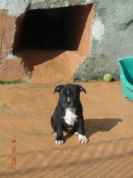 Portee 2007